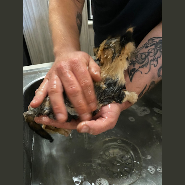 Photo of Hadley Parker