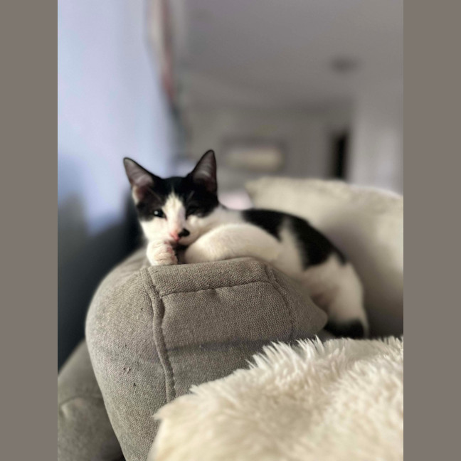 Photo of Katara