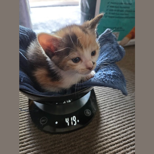 Photo of Sophie