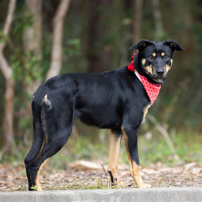 Photo of Tia
