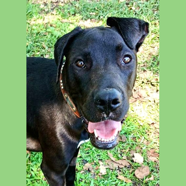 Photo of Princess Grace