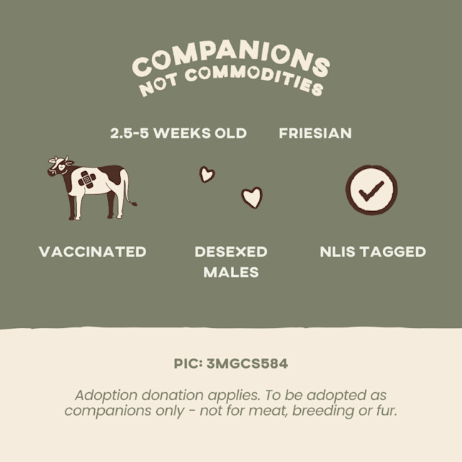 Photo of Milton & Simba