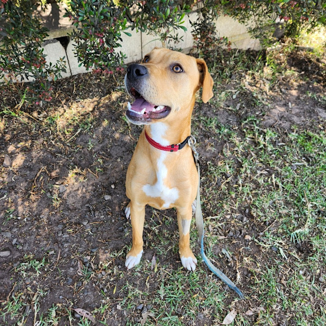 Photo of Little Miss C (64182)