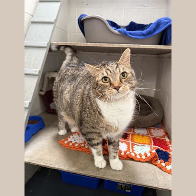 Photo of Mildred