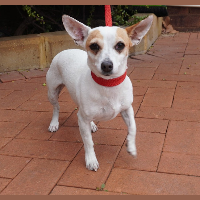 Photo of Lily
