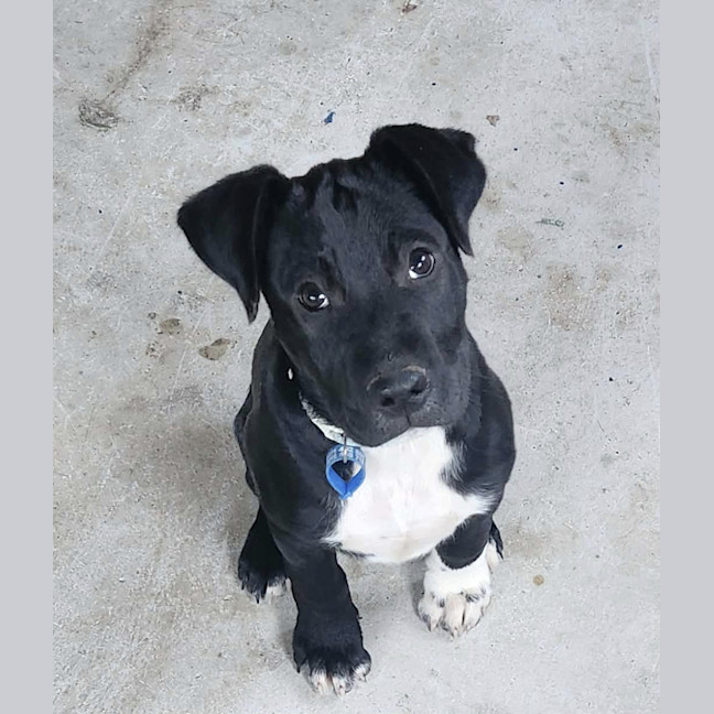 Photo of Stormy
