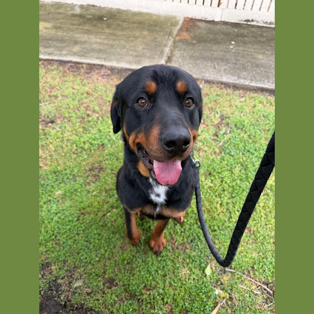 Photo of Big Baby Ben