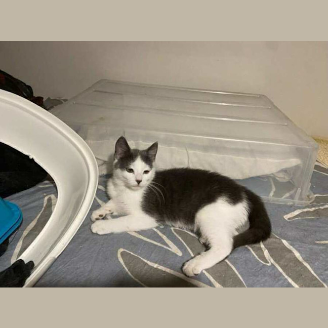 Photo of Hazel