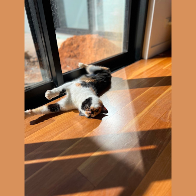 Photo of Sophie