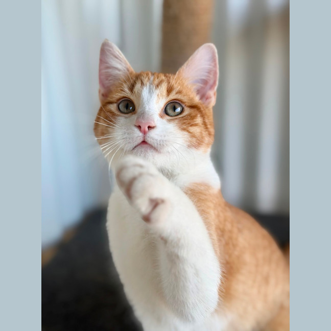 Photo of Skeeter