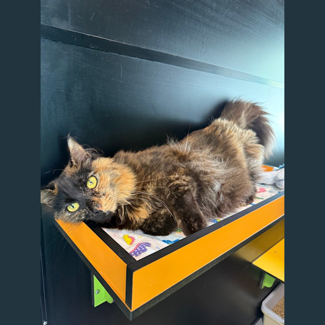 Photo of Sally