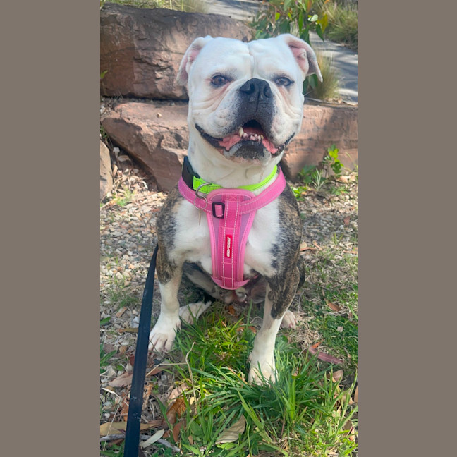 Photo of Bettina