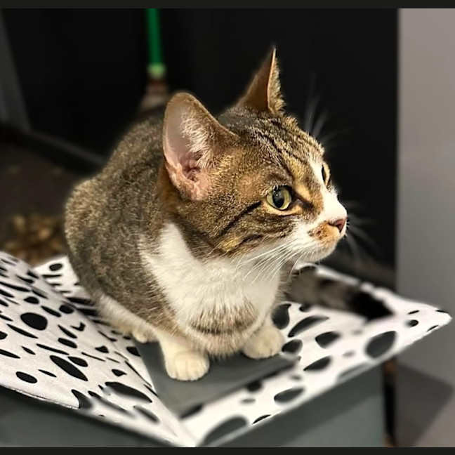 Photo of Mimi