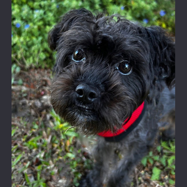 Photo of Freya