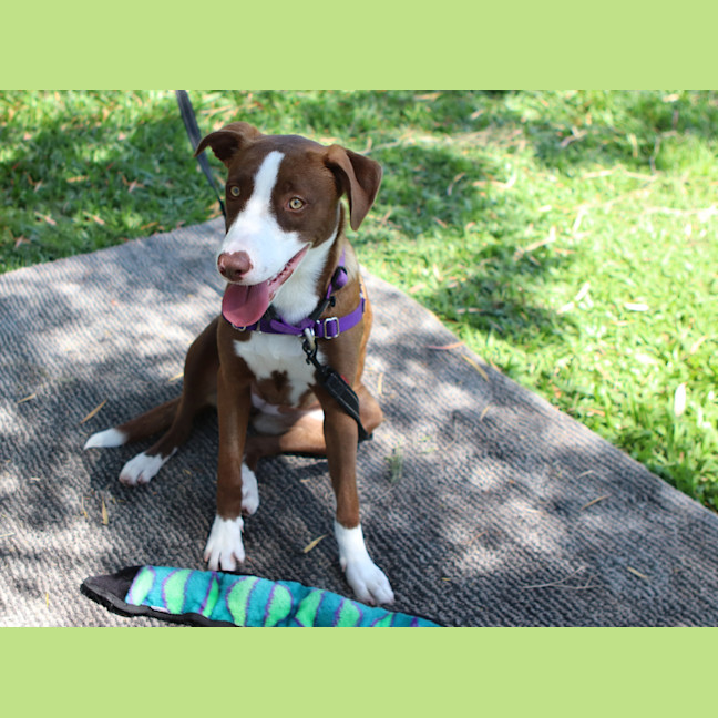 Photo of Macey