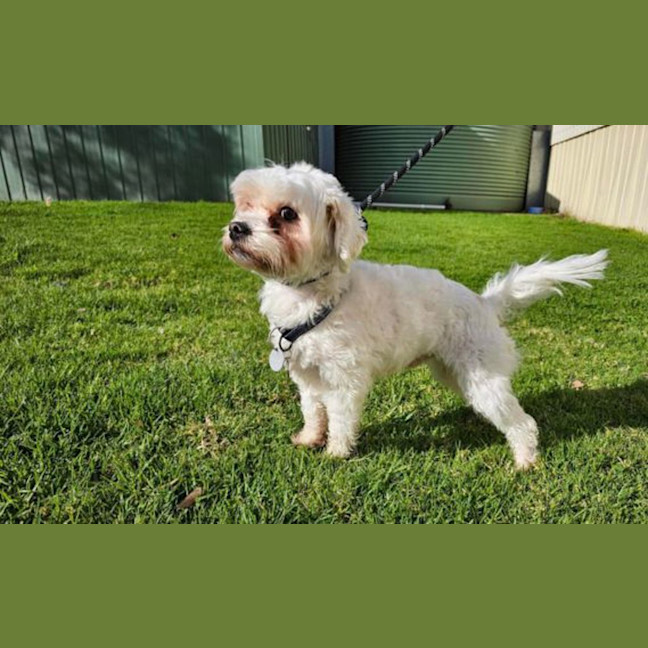 Photo of Bobby