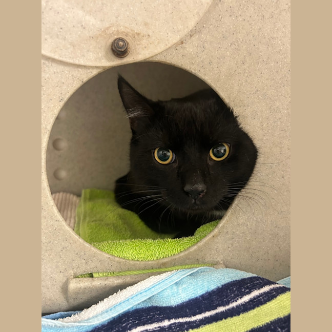 Photo of Mr. Squiggle