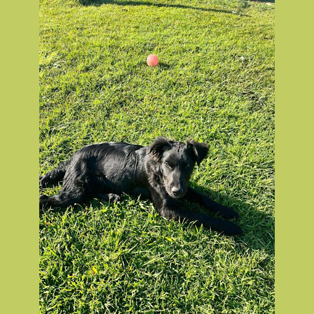 Photo of Benny