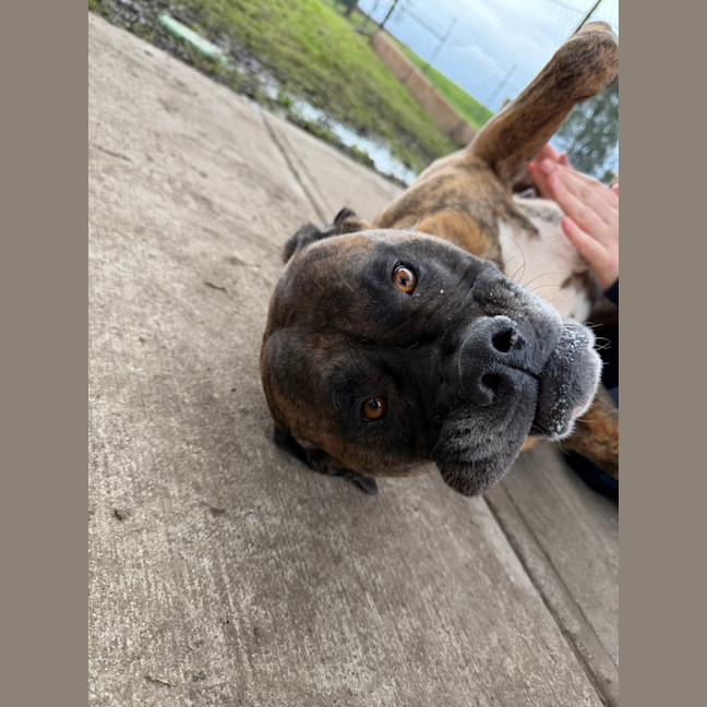Photo of Cash