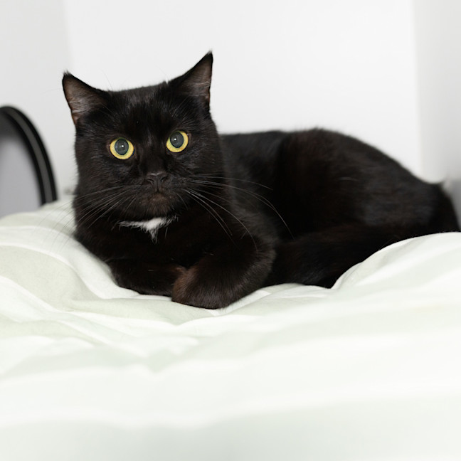 Photo of Fiona