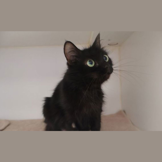 Photo of Susu