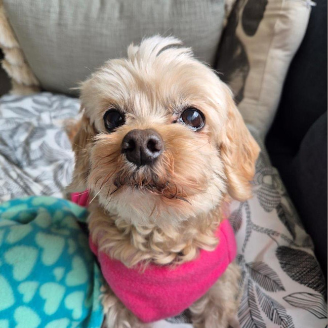 Photo of Charlie Silvanus