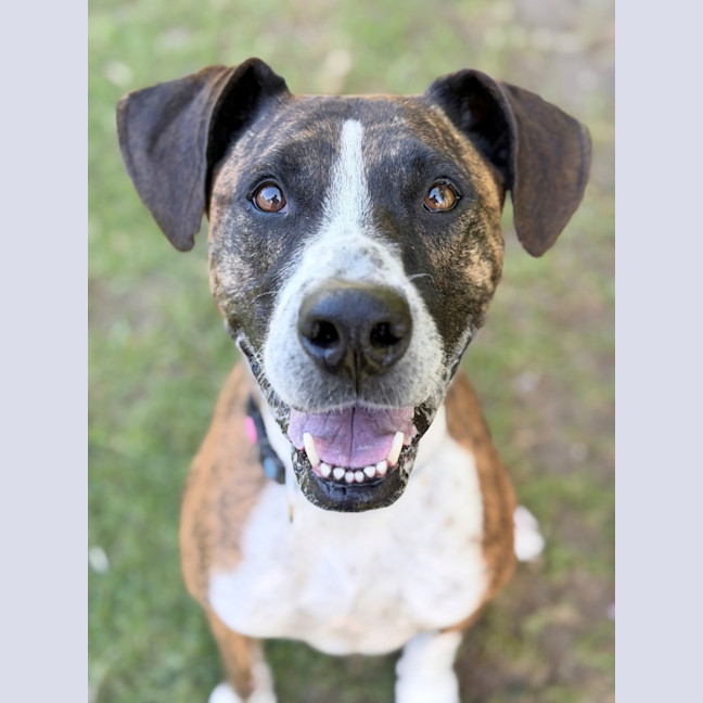 Photo of Xena