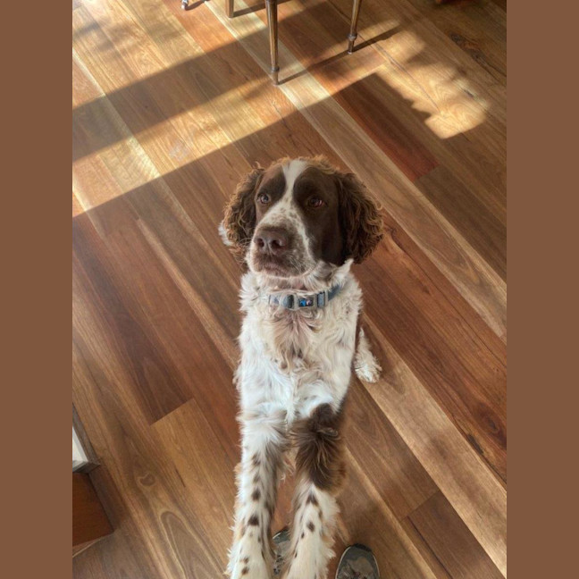 Photo of Ralph Valenti