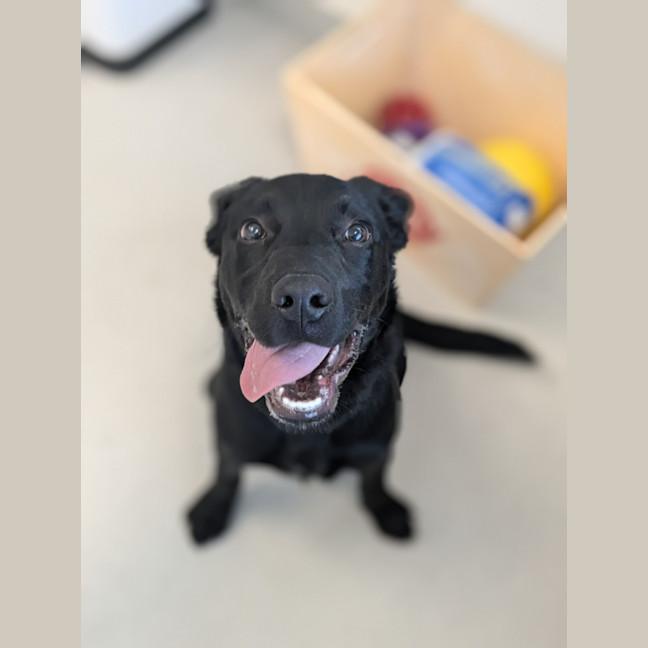 Photo of 🛴 Enzo 5574 🛴