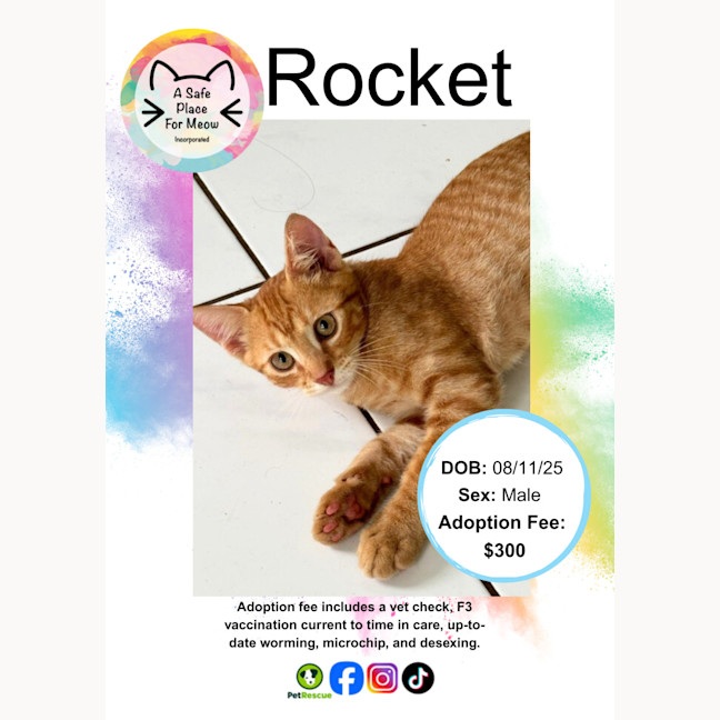 Photo of Rocket