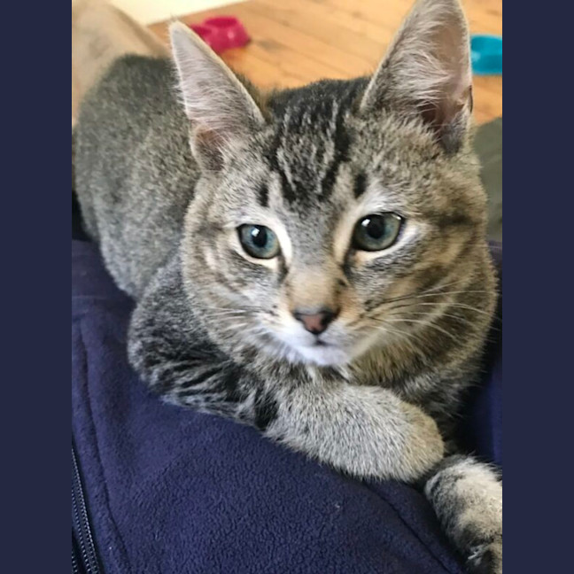 Photo of Billy And Oliver