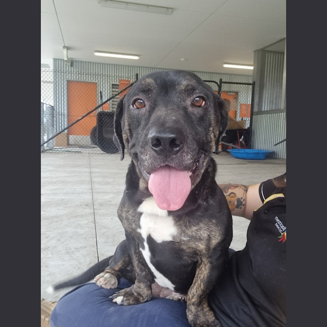 Photo of Fred Imp 2407