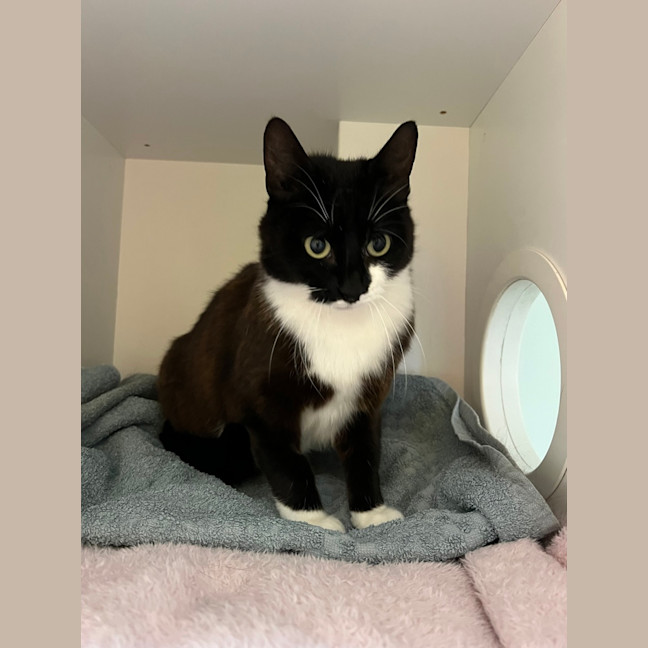 Photo of Evie Dwelly