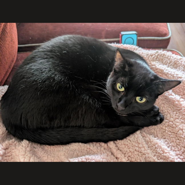 Photo of Evie