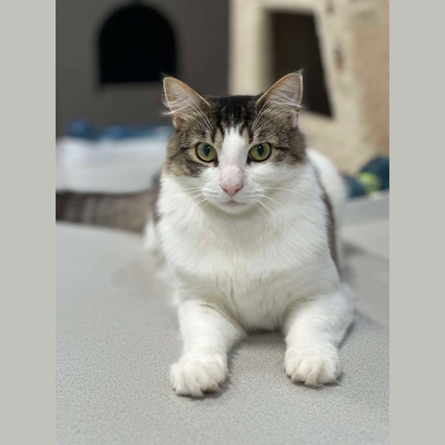 Photo of 🥥 Chester 5640 🥥