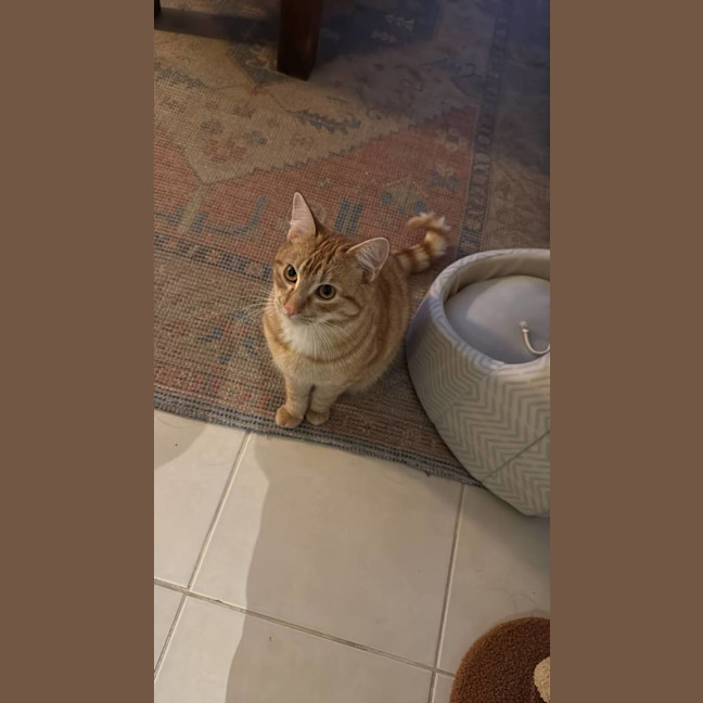 Photo of George