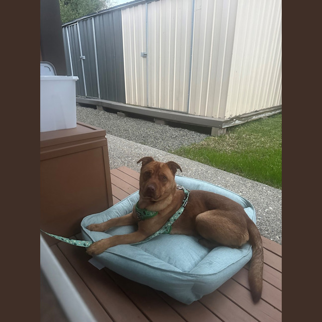 Photo of Zeus