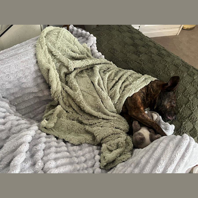 Photo of Horace Silvanus