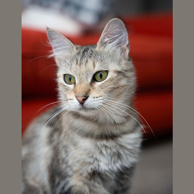 Photo of Blondie 🩷 