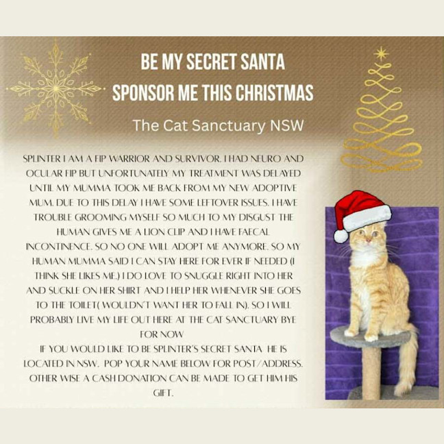 Photo of Harvey Kitler