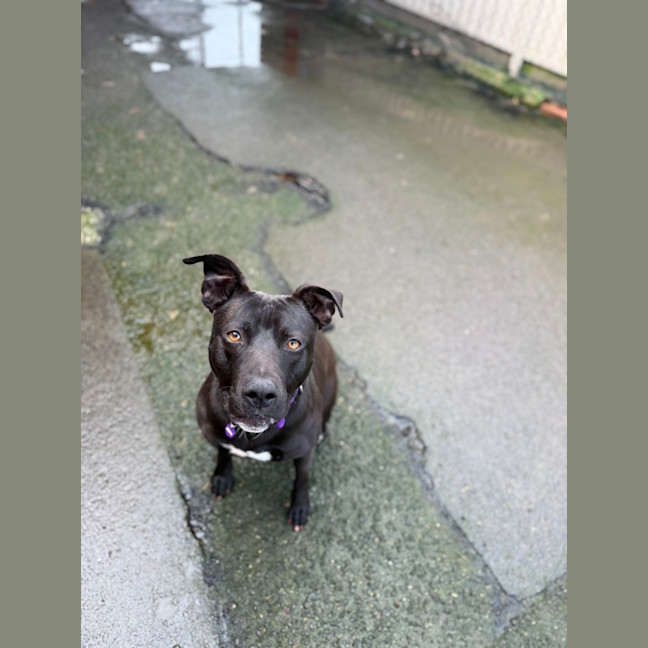 Photo of Storm