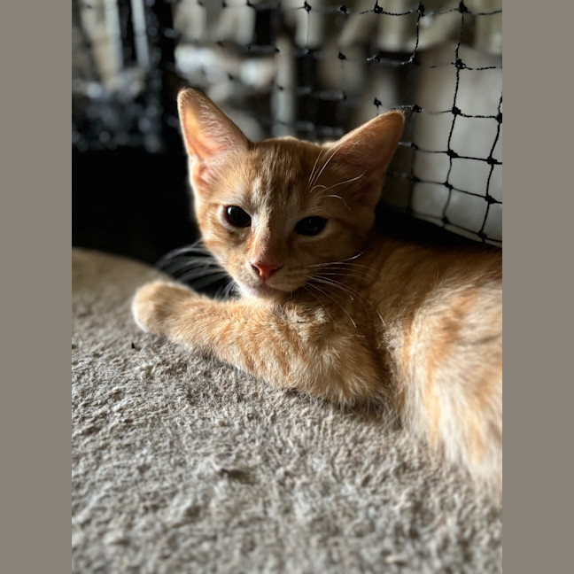 Photo of Bronte