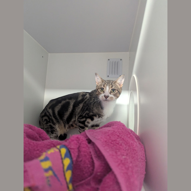 Photo of Libba 
