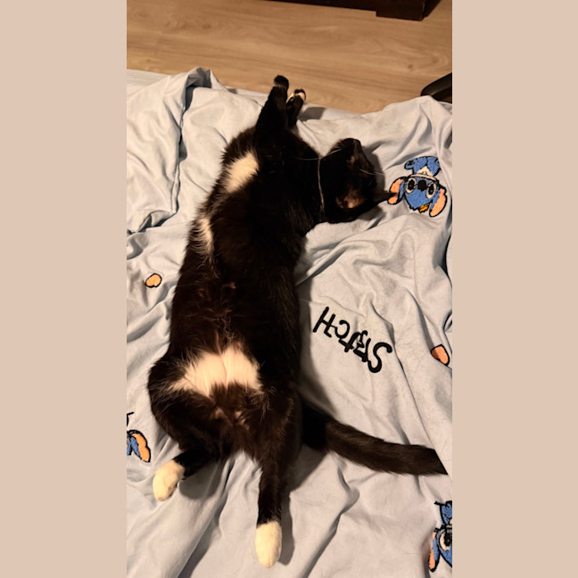 Photo of Moncie