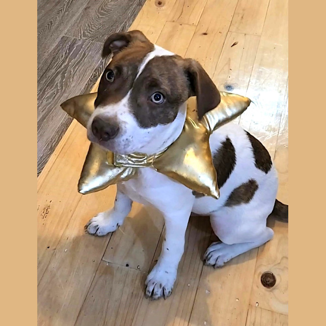 Photo of Bert & Ernie