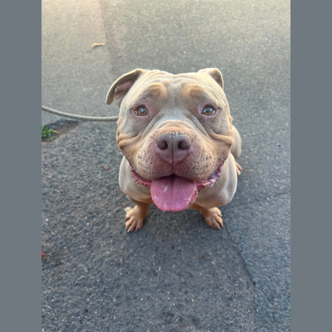 Photo of Nala