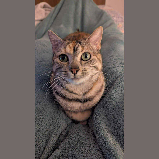 Photo of Novella