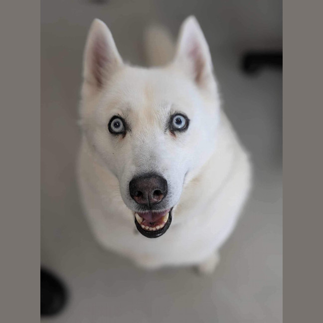 Photo of 🌻 Maya 5035 🌻