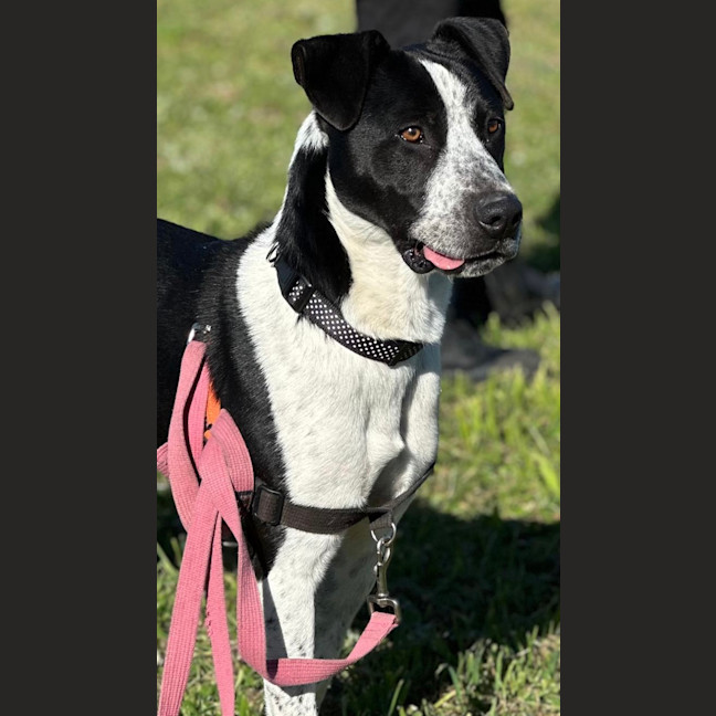 Photo of Mr. Wiggles