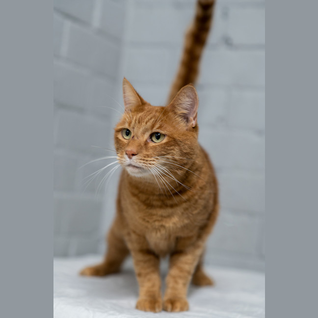 Photo of Sammy